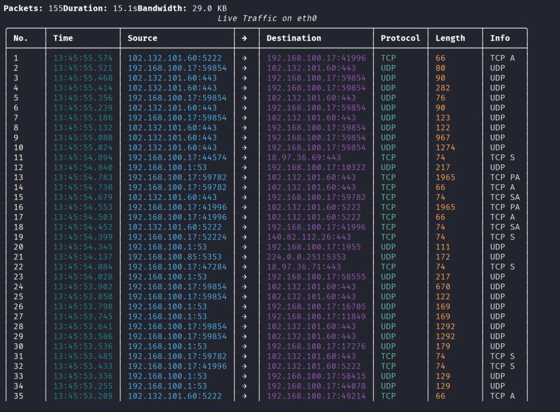 ShadowNet Packet Analyzer